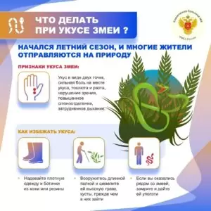 9rs3nc2ujso