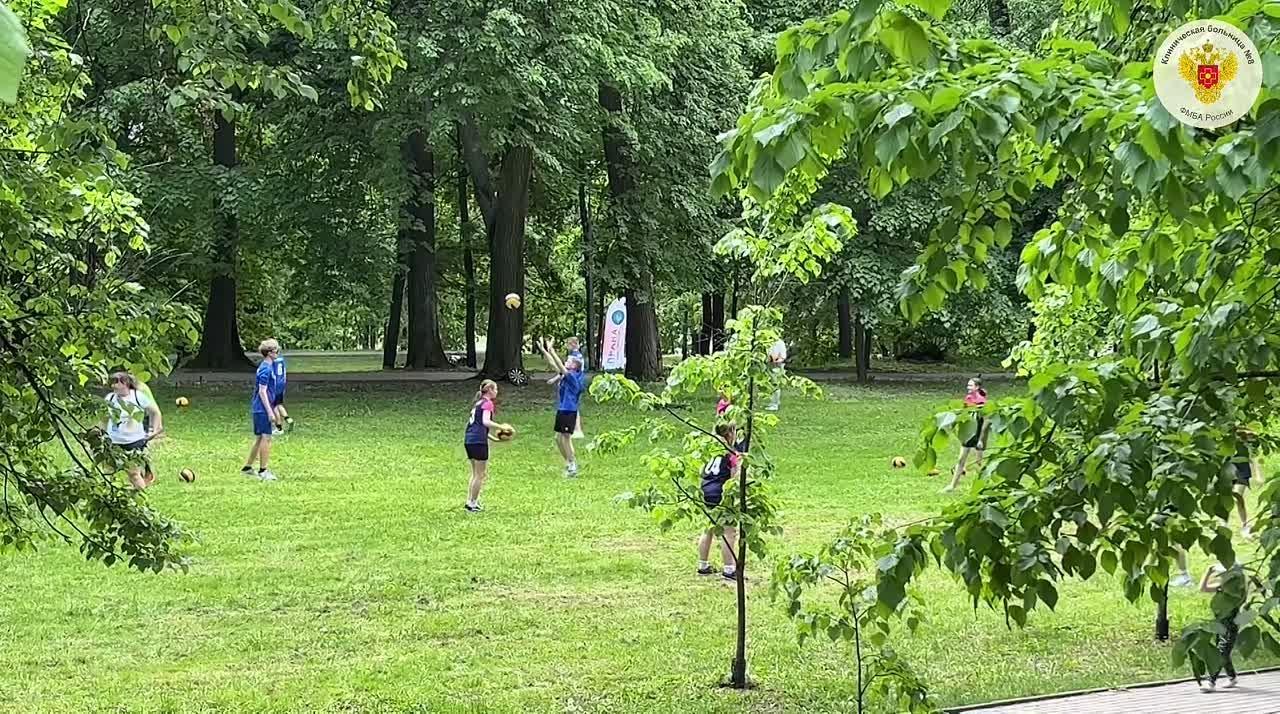 Видео превью