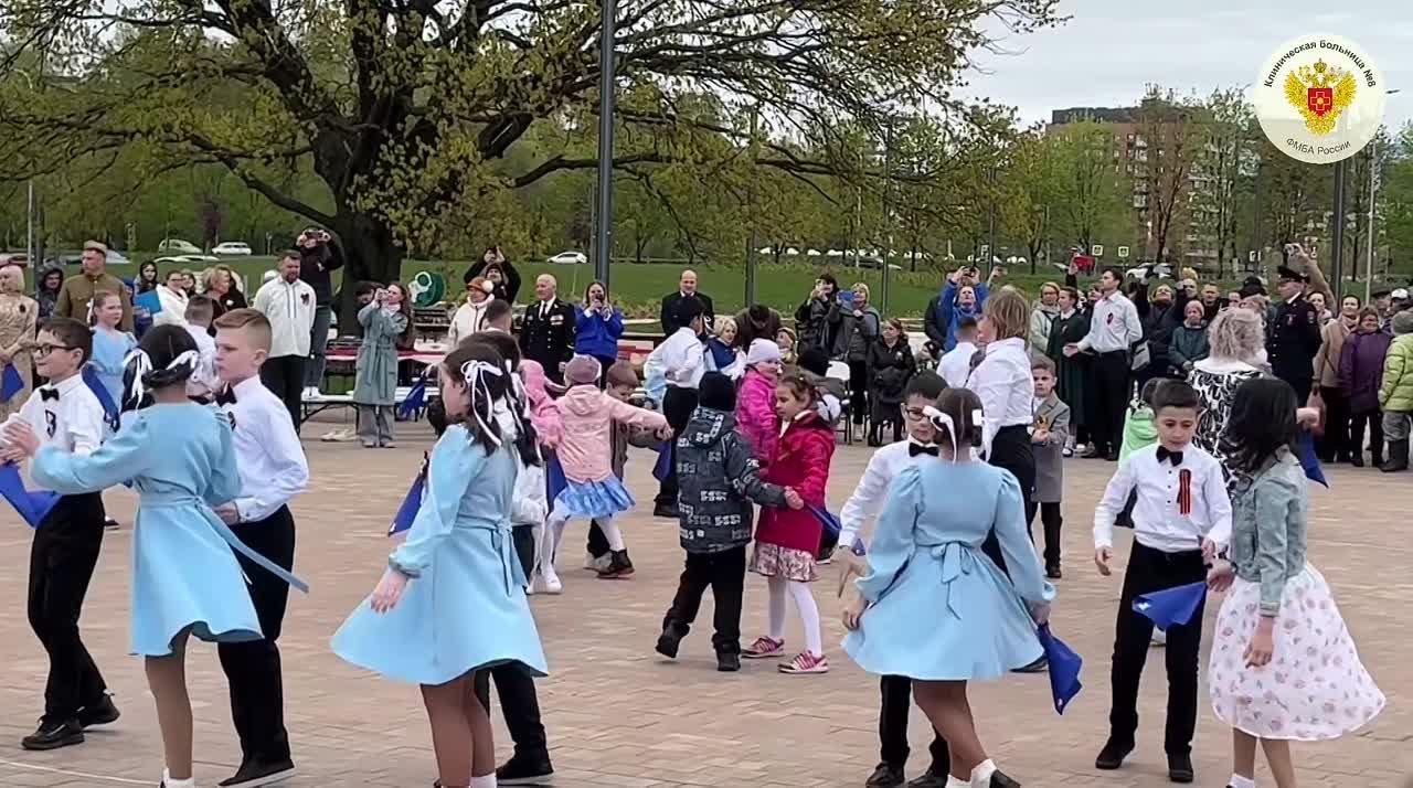 Видео превью