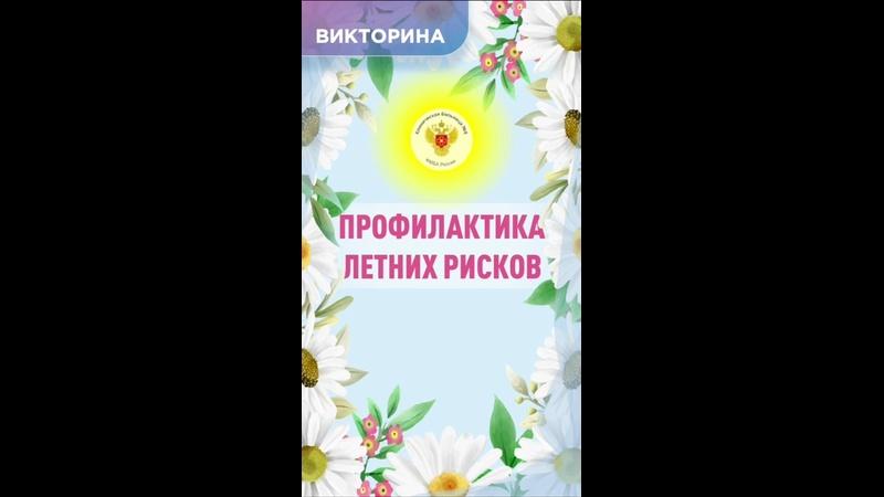 Видео превью