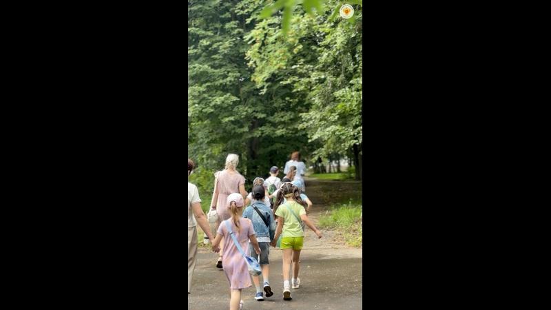 Видео превью