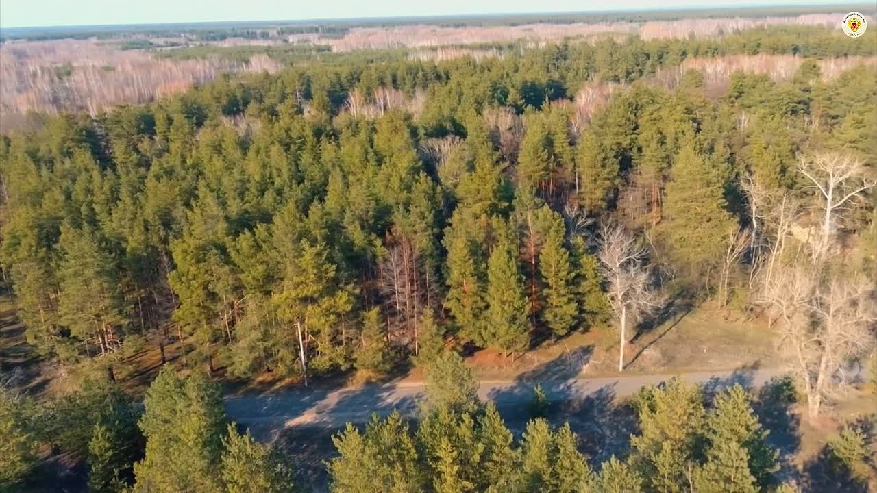 Поздравляем с годовщиной воссоединения Донбасса и Новороссии с Россией