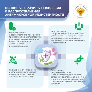 zvwsgie72zgcsnzwgg hqvihr6pbhctr2u8ke8jjvtlzpblvjbalrqowmfgmou34bmyy0n l3ay c4g4ssva9wlg