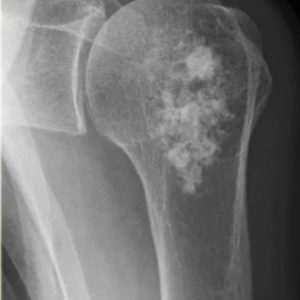 2efab8ae 3e9e 4006 be78 ed05f070