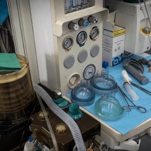 gg09gkcccsdjvked4rtxwfka7vvx45xz3trml t6v pua v4yupru4jxhk2v6kdnak8orc0oxej4vntlxblisyuj