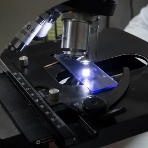 jz0u7amvkjbbunfbps2atpfyhk8r4sql5bv5r9putyymyf9o4ixdsqmrbyqetqqr9qrsovmvrgelvupypdfw vfr