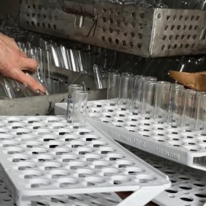 onxousv81ajzewpw3wpqc cahjuh9dx8nxvuset48fvbybuoqf8flv9pmug zwdbbotwd0hinoeu1kzlhuw4pwa5