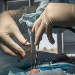 sdykhwz sinivwcisiqkqpxrpkb ue l6oqkzft7wz96pzy575r2sc9iqmizxzpzybvxmfv tmgnuntycp30fw43