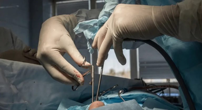 sdykhwz sinivwcisiqkqpxrpkb ue l6oqkzft7wz96pzy575r2sc9iqmizxzpzybvxmfv tmgnuntycp30fw43