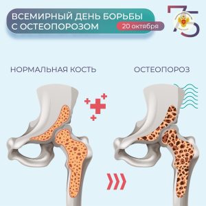 vk 51cc64ccaad7bb34ee75