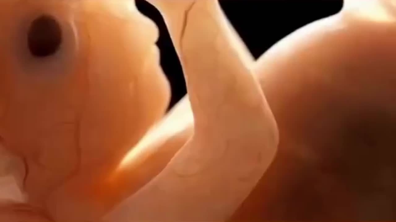 Видео превью